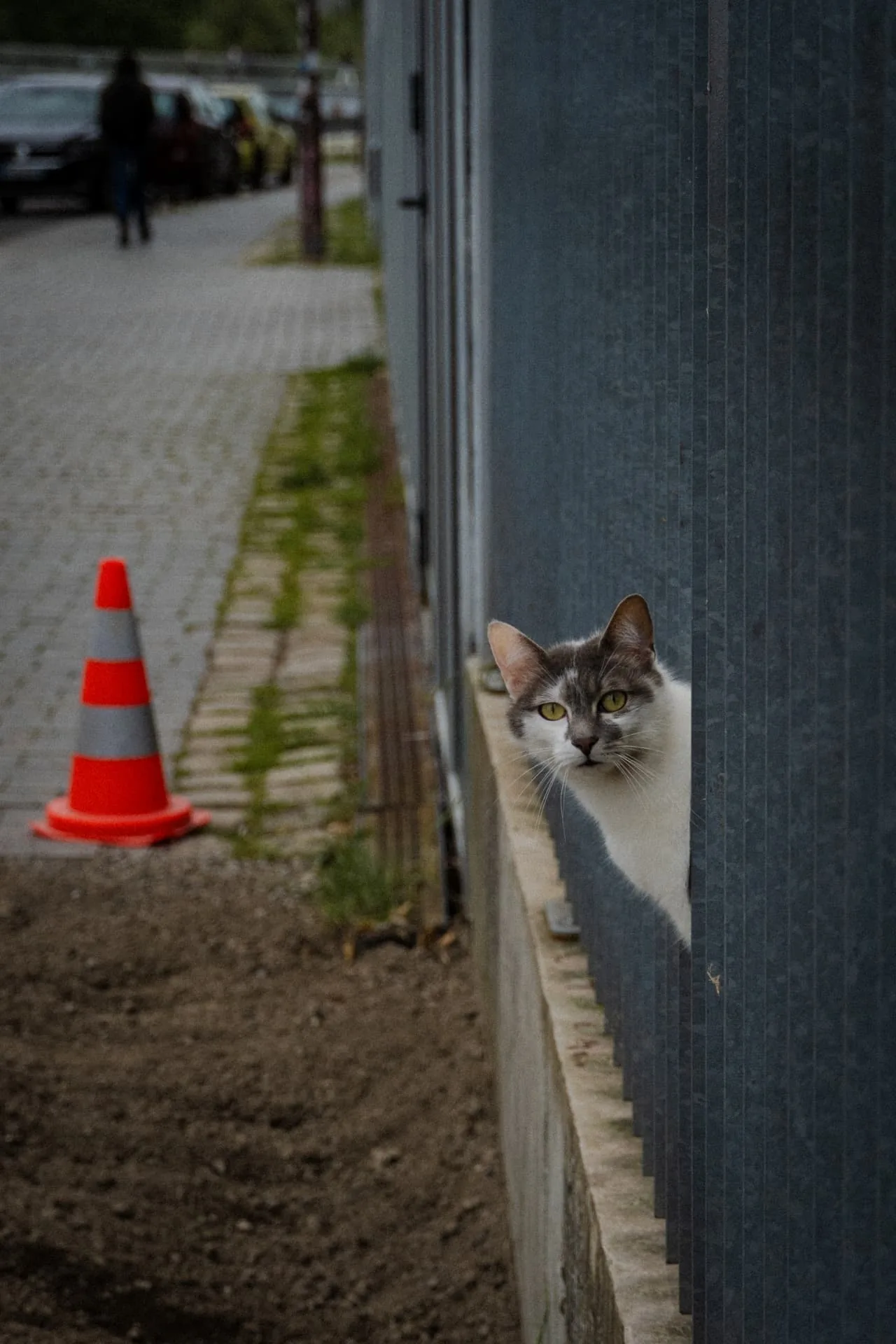 Streetphotography